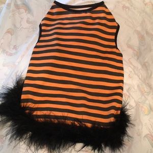 Halloween dog dress